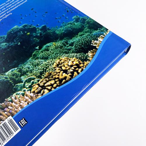 Тайны морей и океанов. Большая иллюстрированная энциклопедия (книга с дефектом)