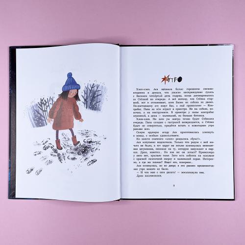 Ро и космический Новый год (книга с дефектом)