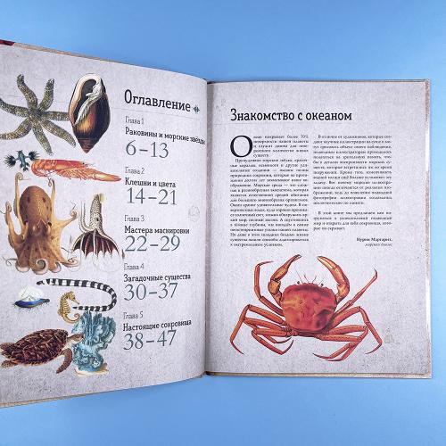 Удивительные энциклопедии. Морские сокровища