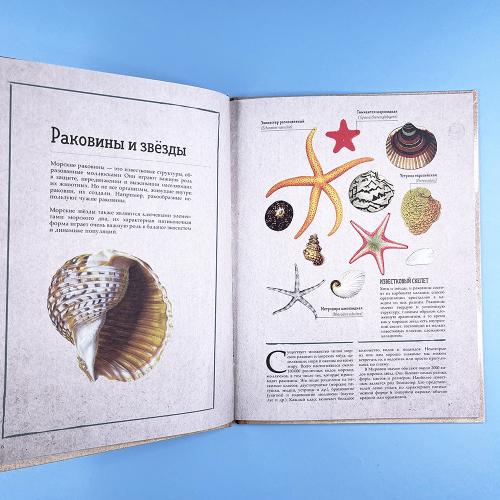 Удивительные энциклопедии. Морские сокровища