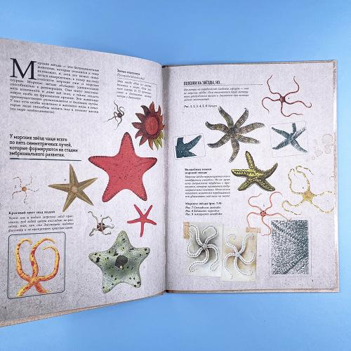 Удивительные энциклопедии. Морские сокровища