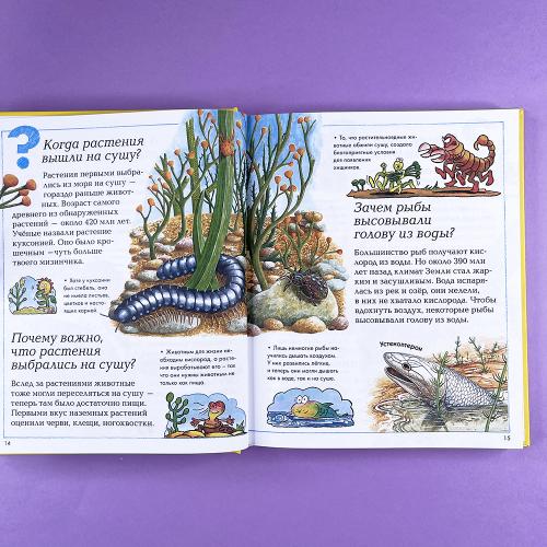 Где, что и когда?