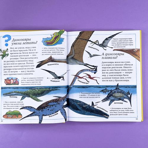 Где, что и когда?