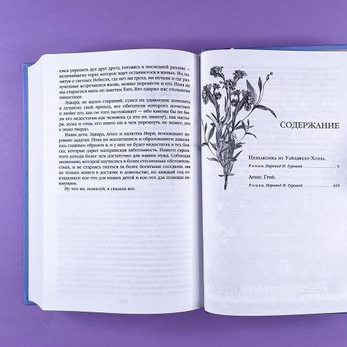 Незнакомка из Уайлдфелл-Холла