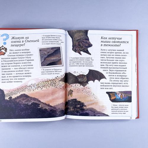 Что, зачем и почему?