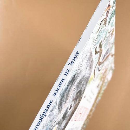 Многообразие жизни на Земле (книга с дефектом)