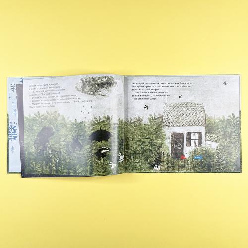 Мудрый волчонок (книга с дефектом)