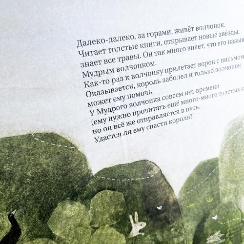 Мудрый волчонок (книга с дефектом)