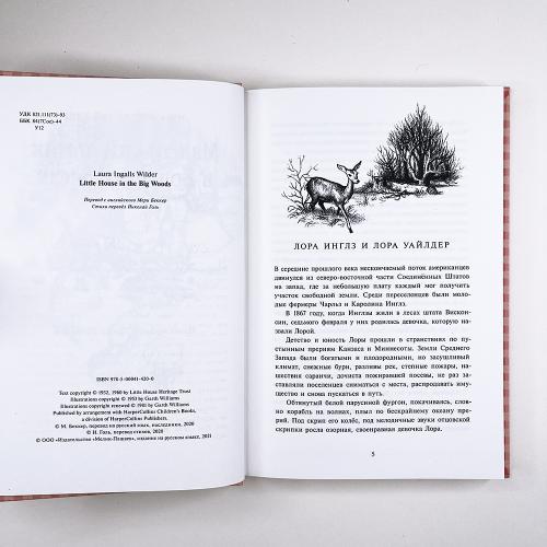 Маленький домик в Больших Лесах