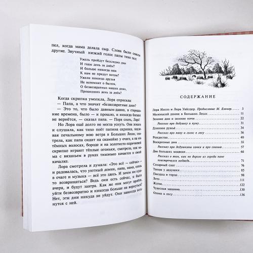 Маленький домик в Больших Лесах