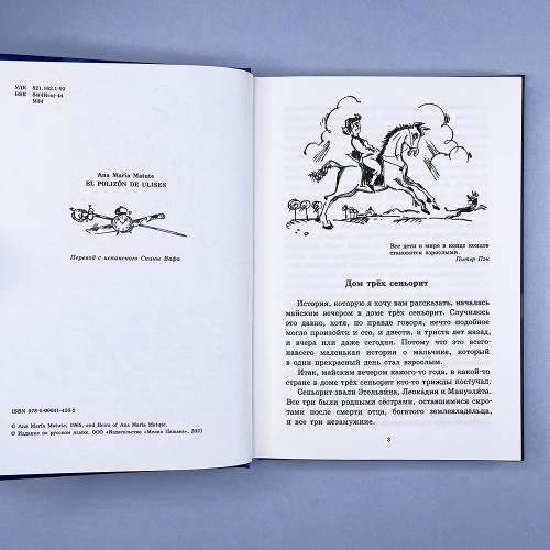 Безбилетный пассажир