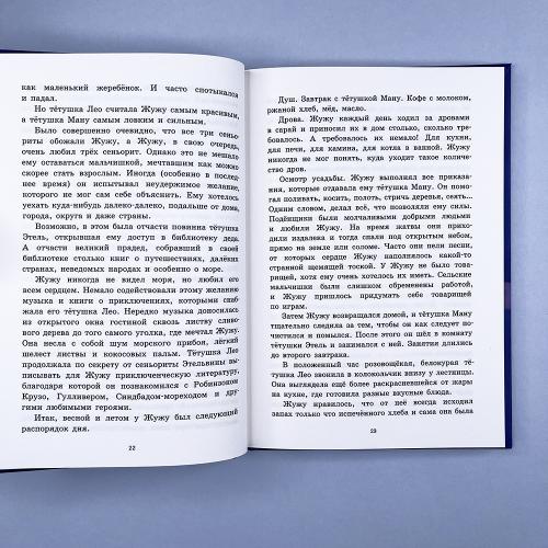 Безбилетный пассажир