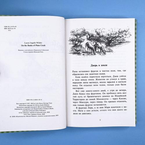 На берегу Тенистого Ручья