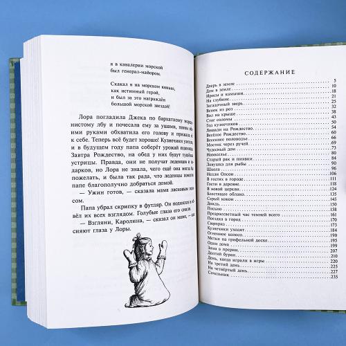 На берегу Тенистого Ручья (книга с дефектом)