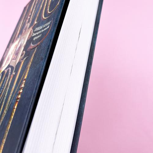 Ловцы книг. Замечательный предел (книга с дефектом)