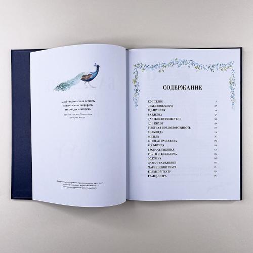 Балетные сказки и истории (книга с дефектом)