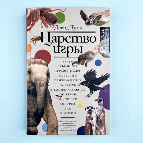 Царство игры