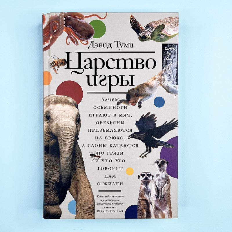 Царство игры