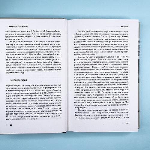 Царство игры