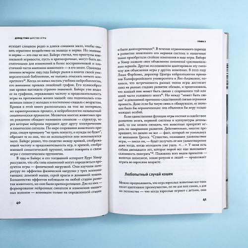 Царство игры