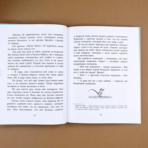 На берегах Ябебири (книга с дефектом)