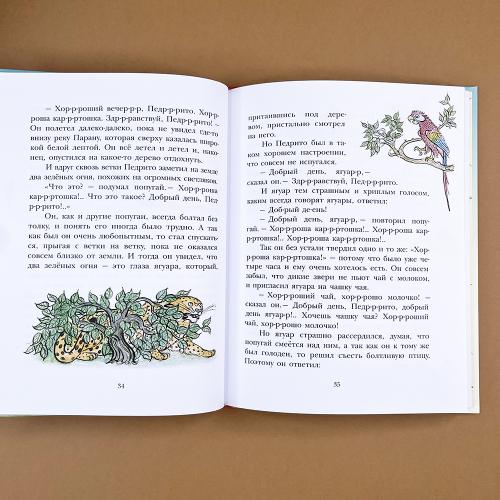 На берегах Ябебири (книга с дефектом)