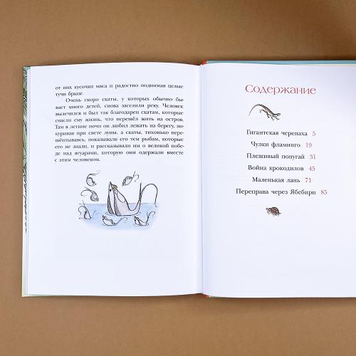 На берегах Ябебири (книга с дефектом)