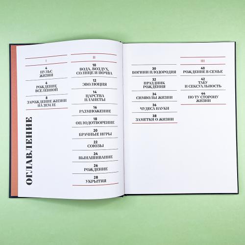 Чудесная книга жизни