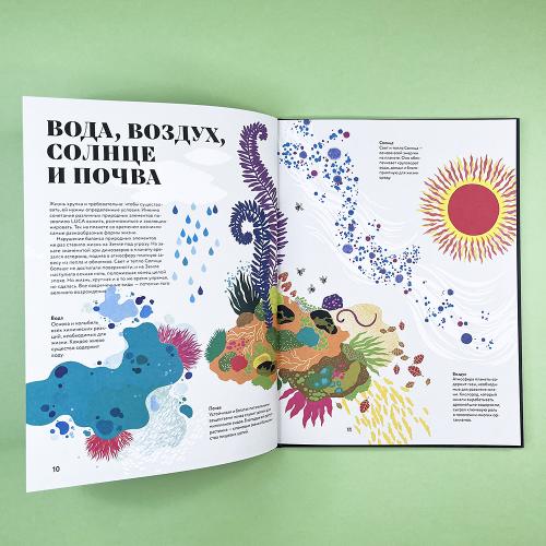 Чудесная книга жизни