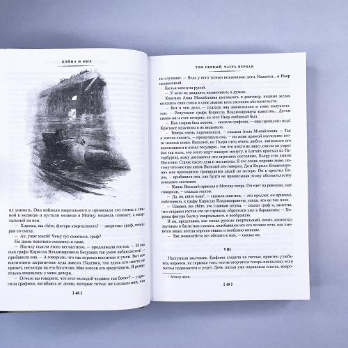Война и мир (в 2-х книгах)