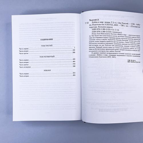 Война и мир (в 2-х книгах)