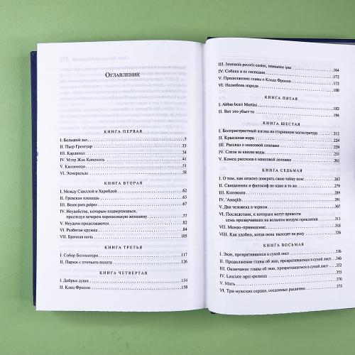 Собор Парижской Богоматери. Подарочное издание