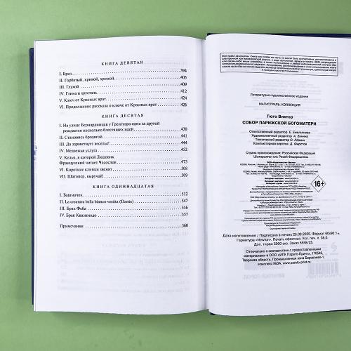 Собор Парижской Богоматери. Подарочное издание