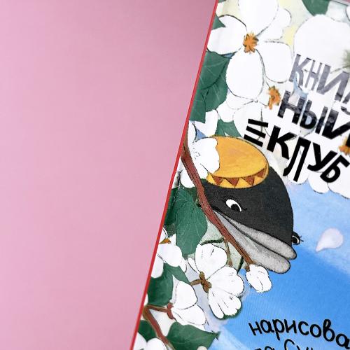 Книжный клуб. Почитаем вместе? Колючий детектив. Тайна пропавшей медали (книга с дефектом)