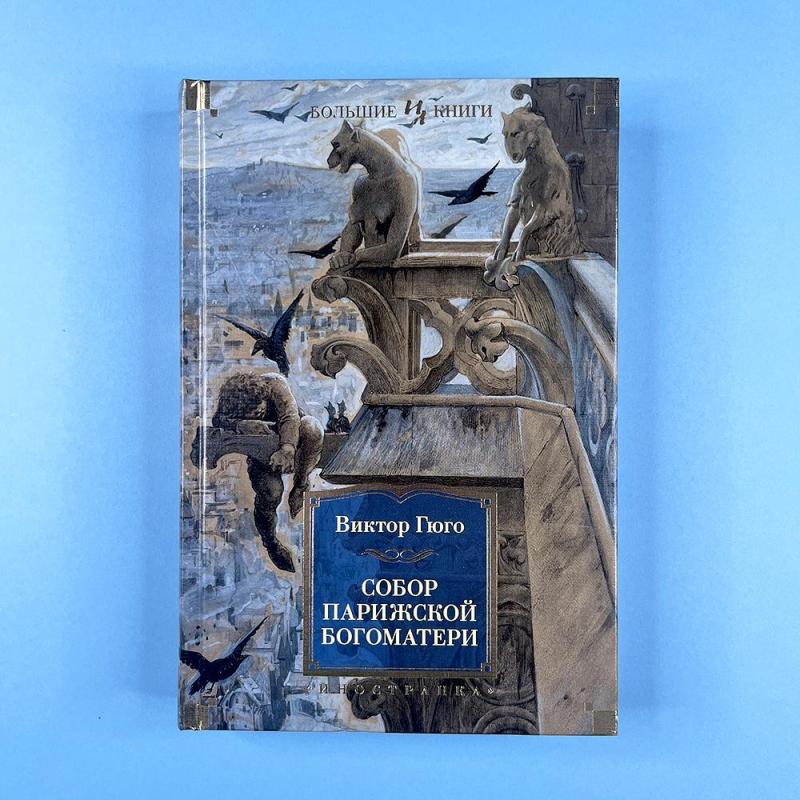 Собор Парижской Богоматери (книга с дефектом)