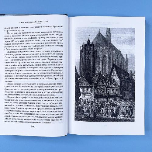 Собор Парижской Богоматери (книга с дефектом)