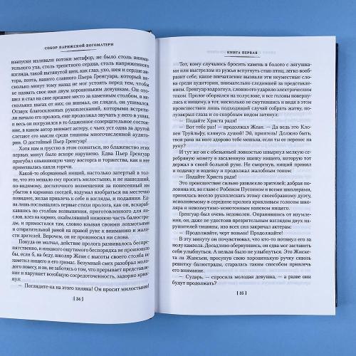 Собор Парижской Богоматери (книга с дефектом)