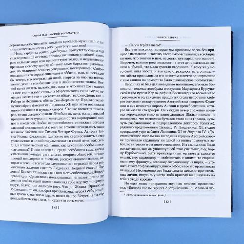 Собор Парижской Богоматери (книга с дефектом)