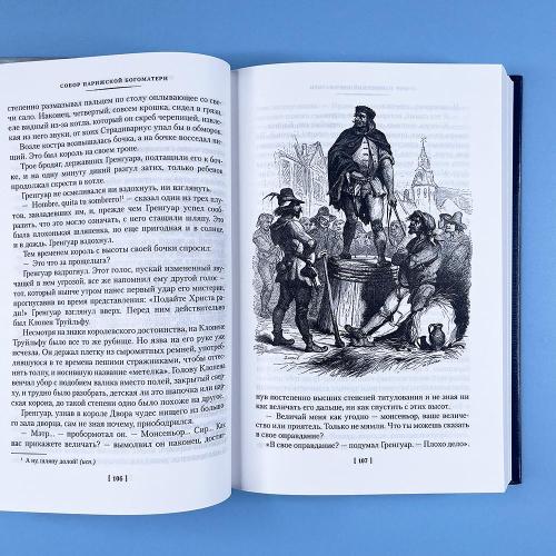 Собор Парижской Богоматери (книга с дефектом)