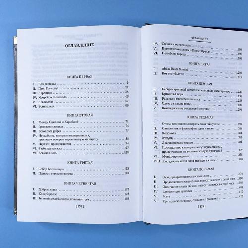 Собор Парижской Богоматери (книга с дефектом)