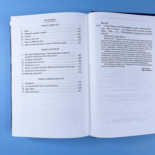 Собор Парижской Богоматери (книга с дефектом)