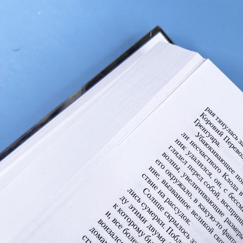 Собор Парижской Богоматери (книга с дефектом)