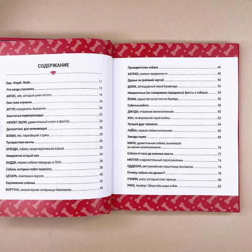 Выдающиеся собаки! Героические истории о верных псах