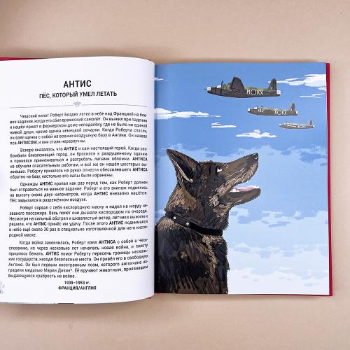 Выдающиеся собаки! Героические истории о верных псах