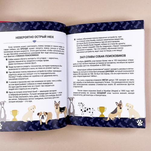 Выдающиеся собаки! Героические истории о верных псах