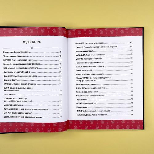 Выдающиеся кошки. Удивительные истории об отважных кошках