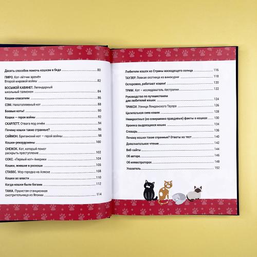 Выдающиеся кошки. Удивительные истории об отважных кошках