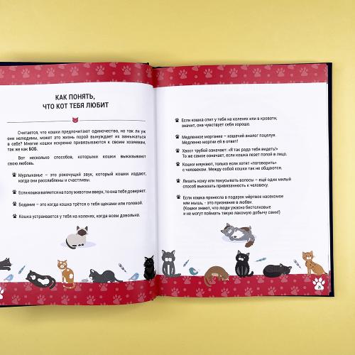 Выдающиеся кошки. Удивительные истории об отважных кошках