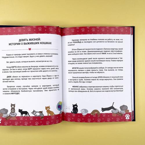 Выдающиеся кошки. Удивительные истории об отважных кошках