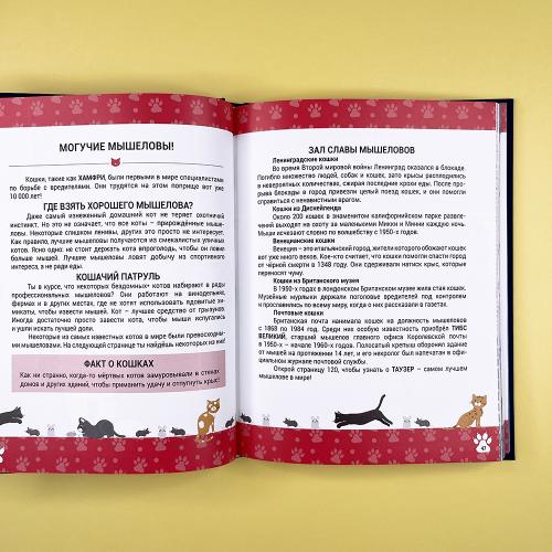 Выдающиеся кошки. Удивительные истории об отважных кошках